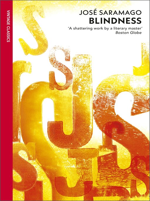 Cover image for Blindness